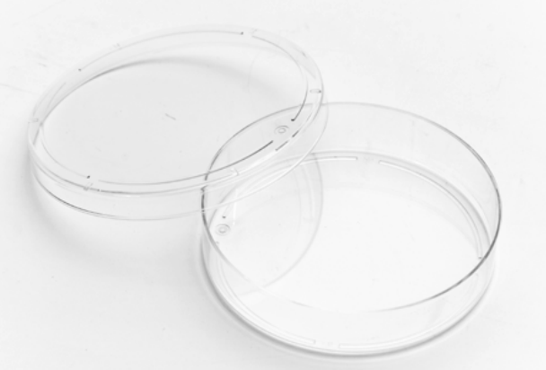 Cell Culture Dishes 细胞培养皿