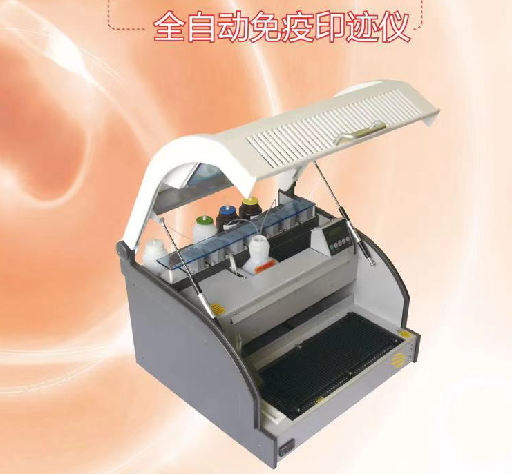 佰瑞全自动免疫印迹仪BeeBlot48、BeeBlot20