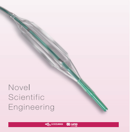 戈德曼冠状动脉棘突球囊导管NS22513-NS40013