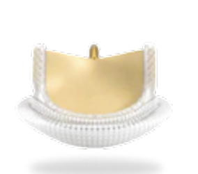 爱德华心包生物瓣膜2800TFX27