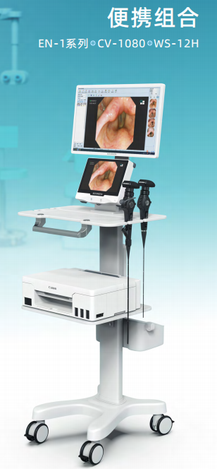 视新医用电子鼻咽喉镜EN-1