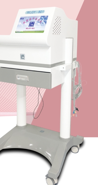 伟力低频脉冲治疗仪WLGY-801