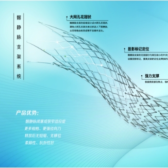 天鸿盛捷髂静脉支架系统VM-SS-10-060-D08