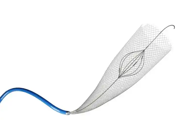 血流导向密网支架FREDX2513