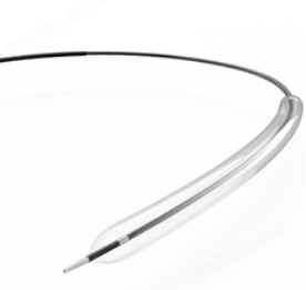 外周血管球囊扩张导管株式