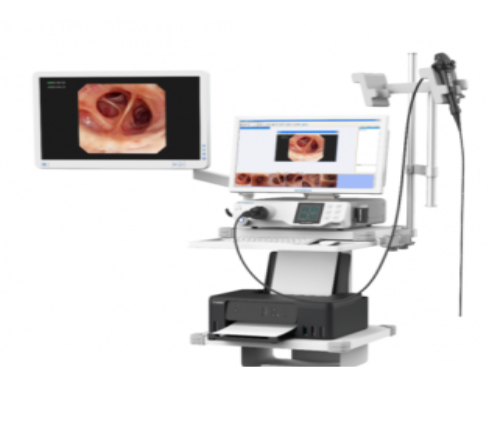 电子支气管镜br-e11t