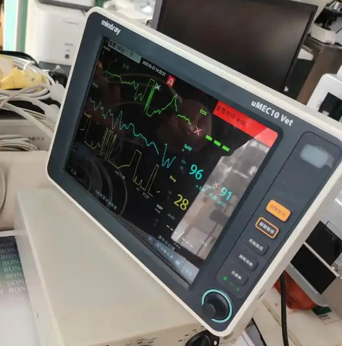 F6 中微泽心电监护仪